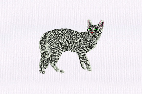 Black White Cat Design
