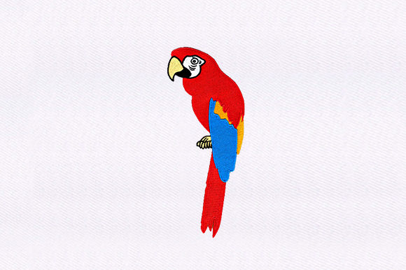 Macaw Bird Design Review